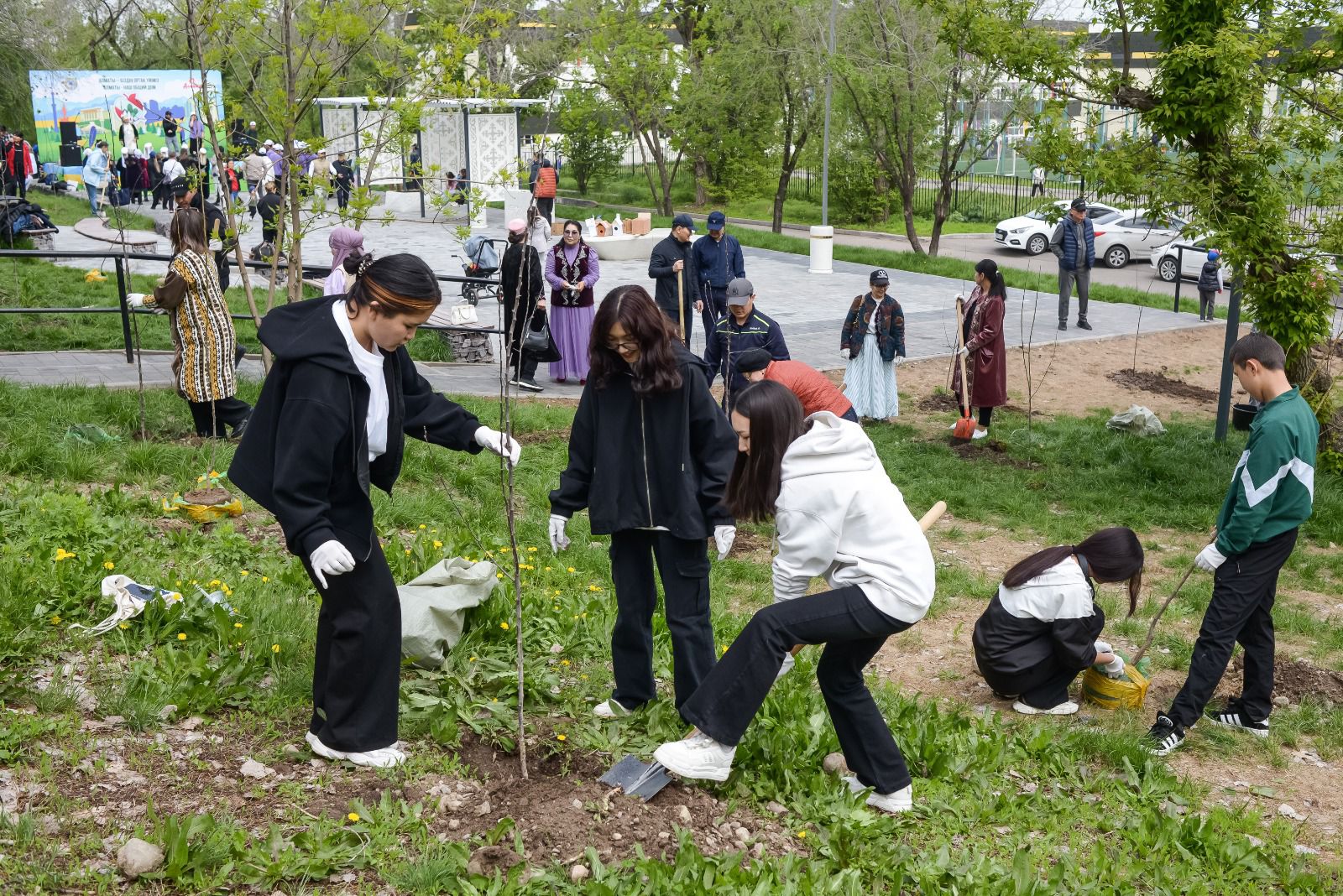 «Өнегелі ұрпақ»: молодежь и ветераны возрождают яблоневые сады в Алматы