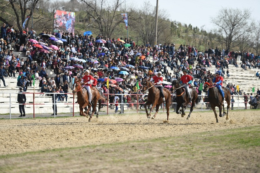 1521731165140091.jpg 5.jpg