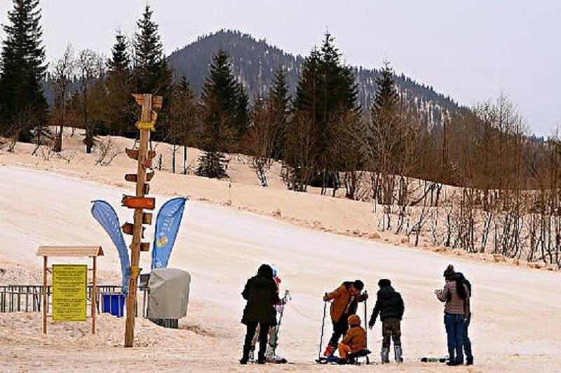 1521977915752761.jpg 4.jpg