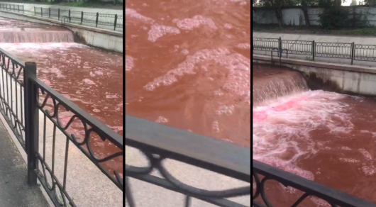 1526878823703056.png 4.png