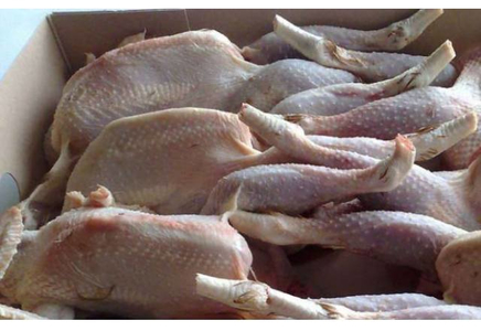 1527310257473513.jpg 10.jpg