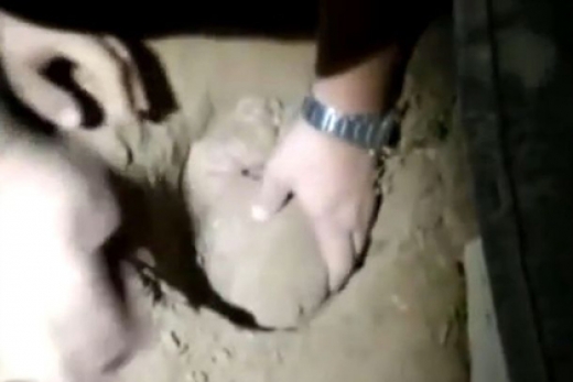 1528608776458135.jpg 3.jpg