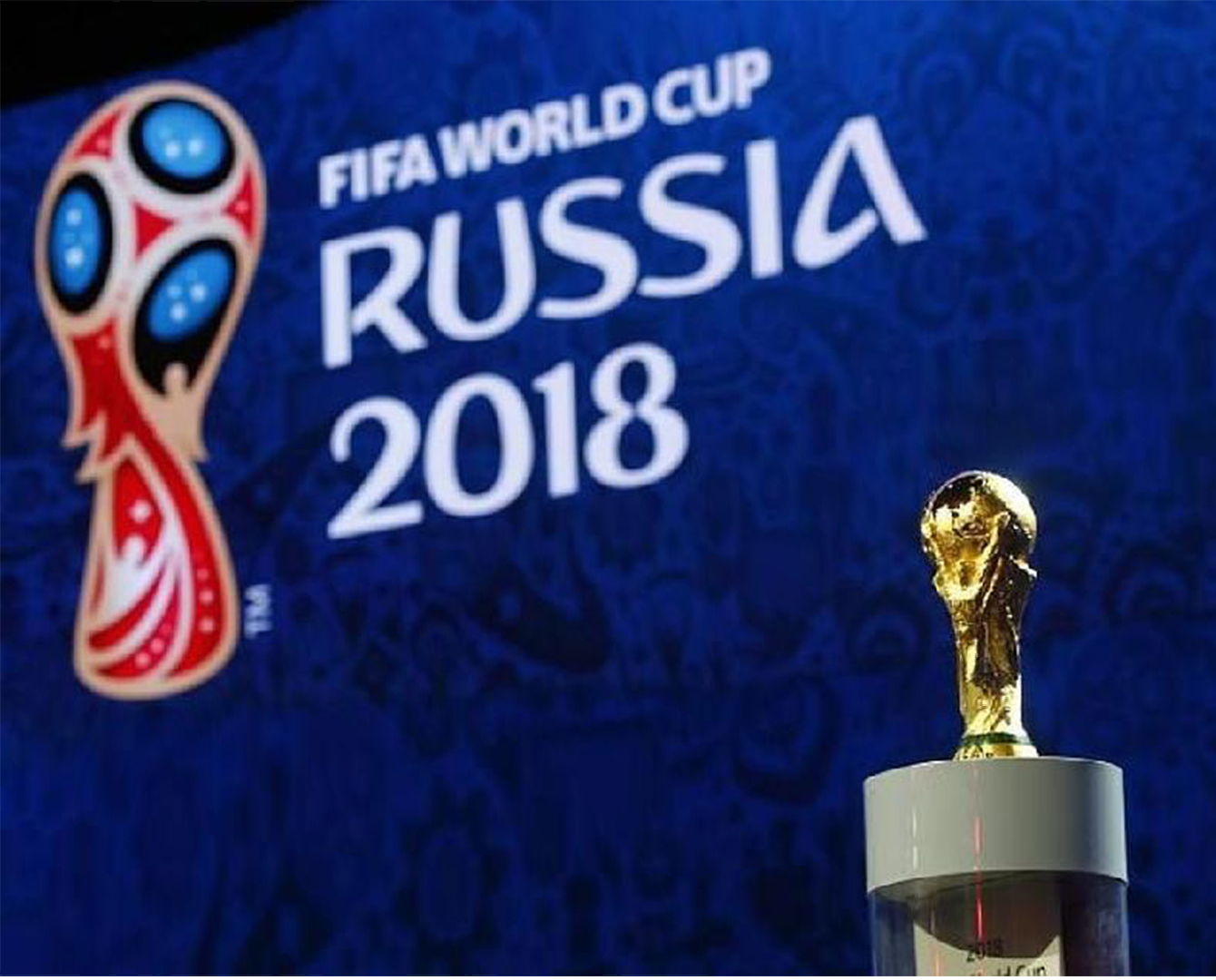 1528874350222593.jpg 4.jpg