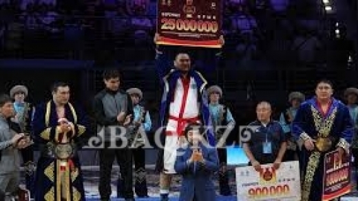 1530511035381391.jpg 4.jpg