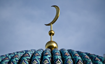 1533197086872399.jpg 7.jpg