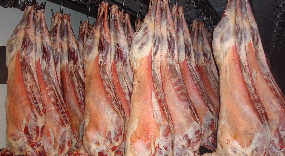 1535685008517903.jpg 8.jpg