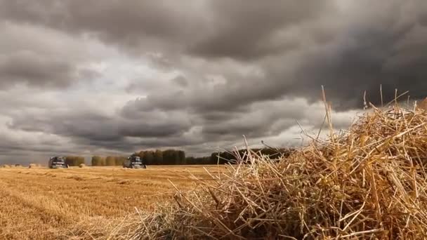 1538233703492626.jpg комбайн.jpg