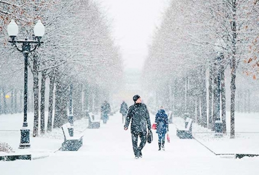 1539598766825019.jpg 3.jpg