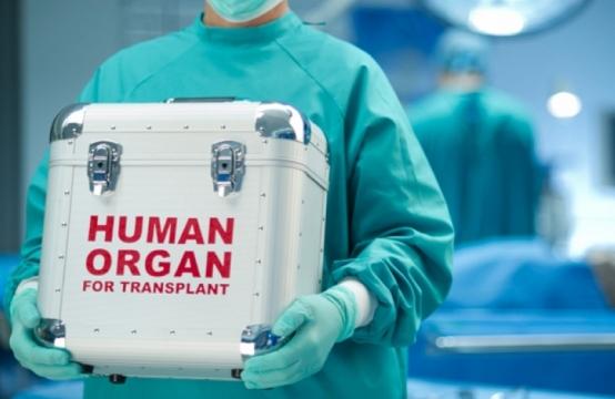 1542086408640773.jpg орган.jpg