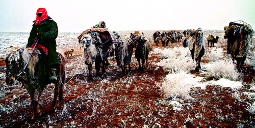 1543372576459566.jpg 2.jpg