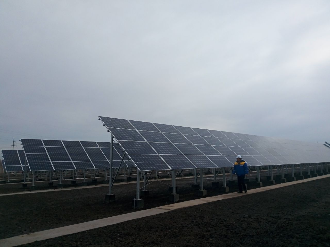 1543571477899461.jpg 1.jpg