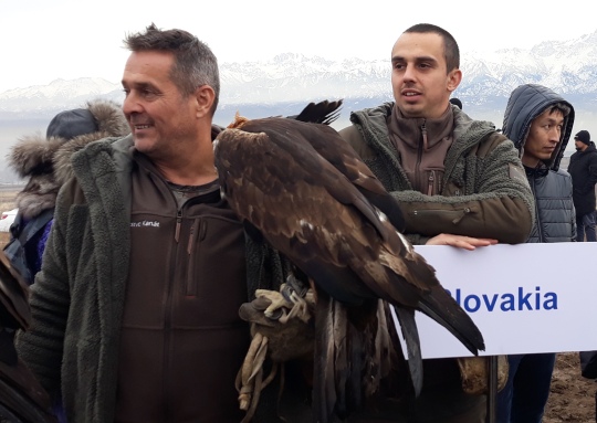 1543735050895416.jpg 1.jpg