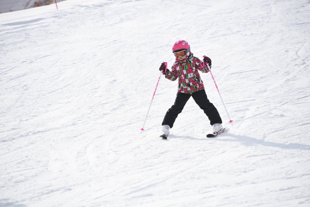 1546923770688843.jpg DSC_7824.JPG