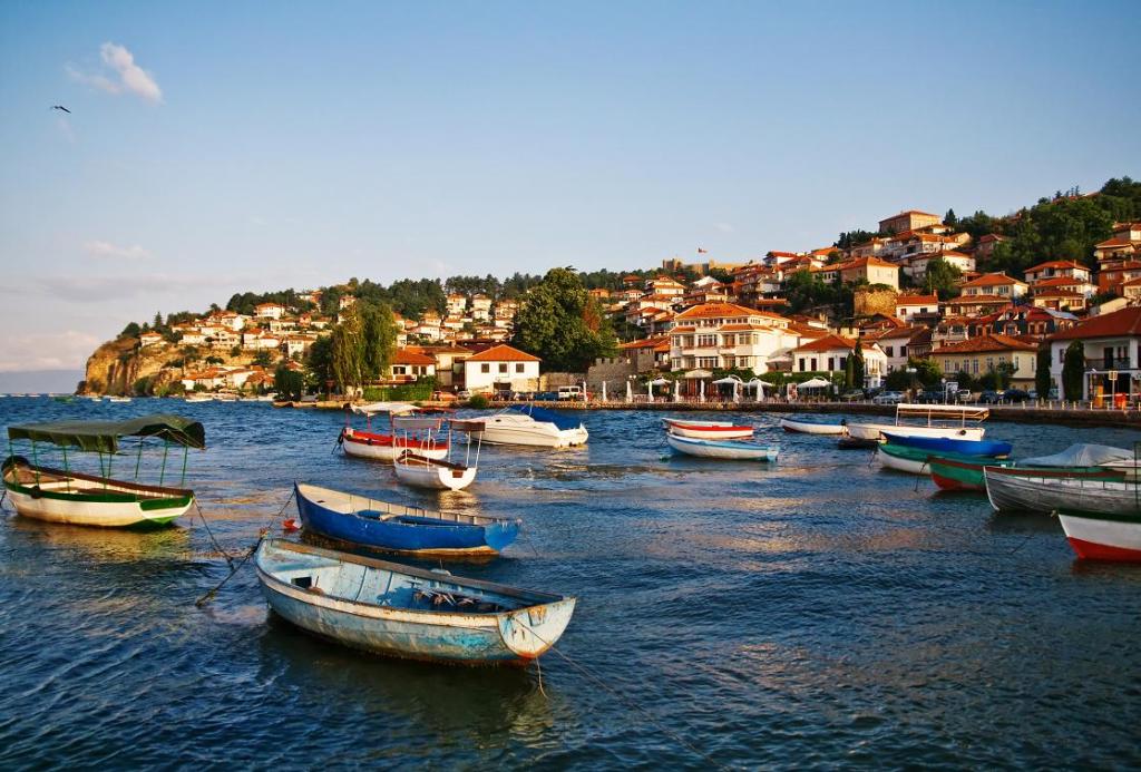 1547381803685338.jpg 1.jpg