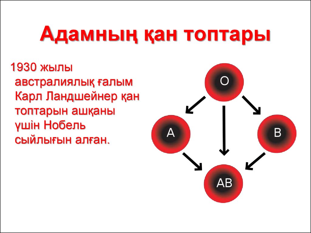 Қан топтары және қан құю.jpg