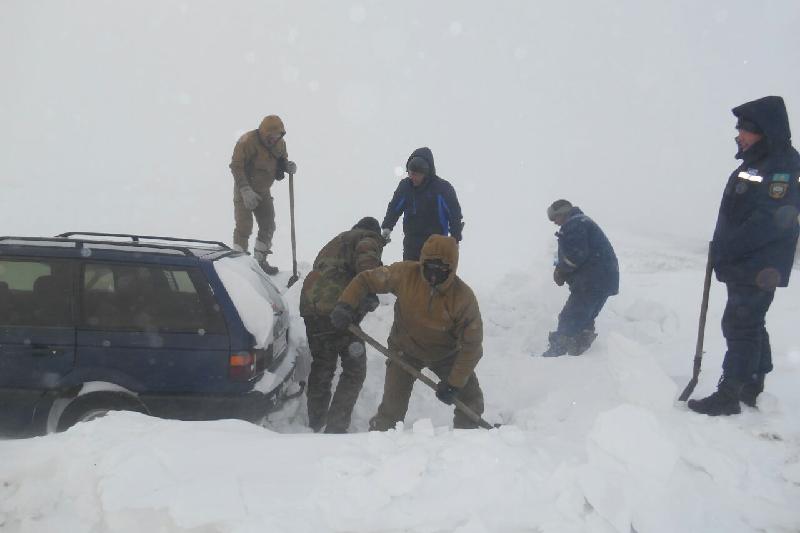 1548061029667517.jpg 4.jpg