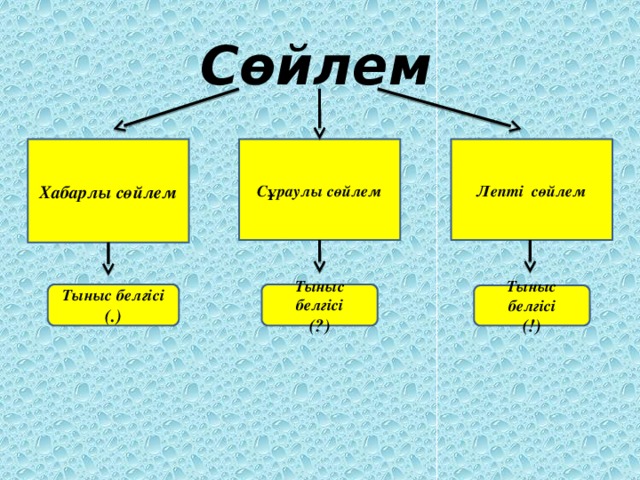 Сөйлем.jpg
