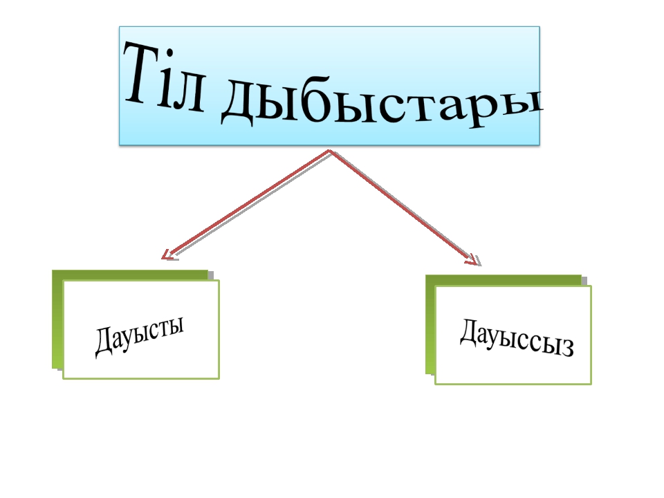 Фонетика. Тіл дыбыстары.jpg