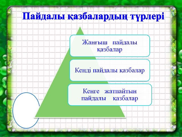 Пайдалы қазбалардың  түрлері.jpg