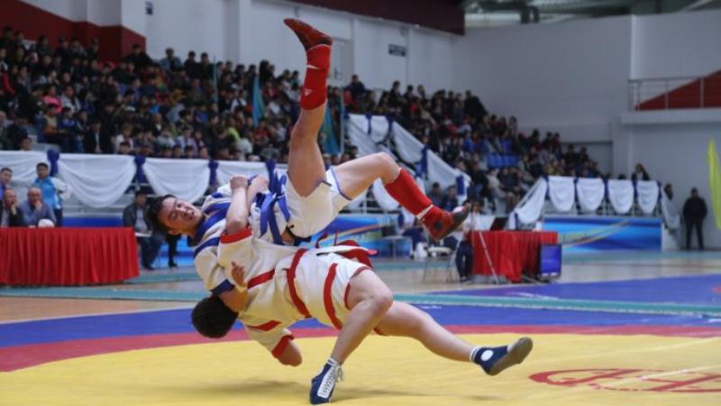 1550472004407917.jpg 1.jpg