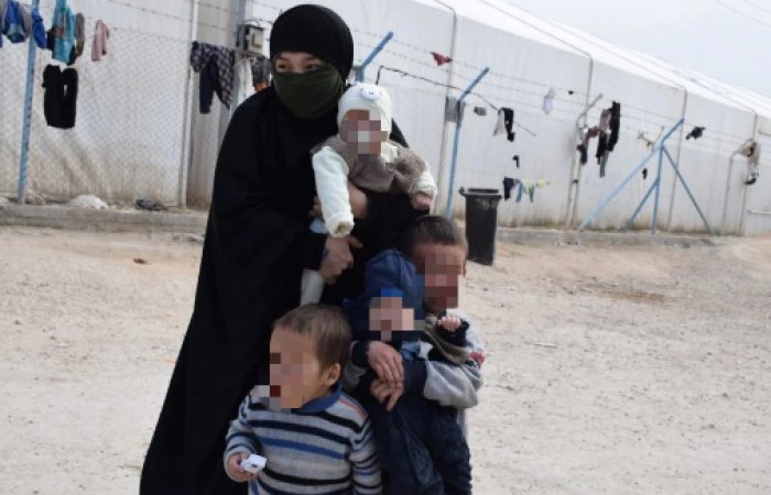 1551361115116553.jpg 4.jpg