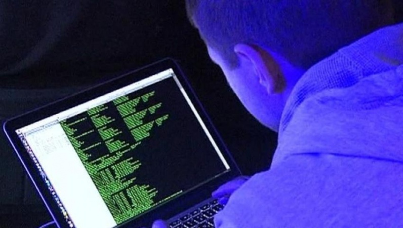 1551937952937520.jpg 2.jpg