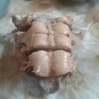 1555408617983675.jpg 6.jpg