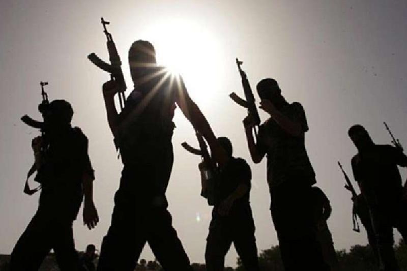 1575382246419103.jpg 9.jpg