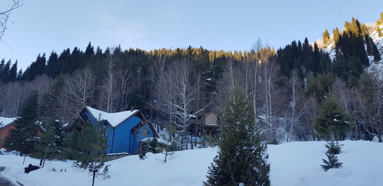 1582556665722677.jpg fae219bf-2b1f-4957-81bb-14e597bf4f9f.jpg