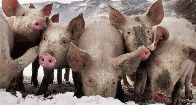 1591880083607467.jpg 3.jpg