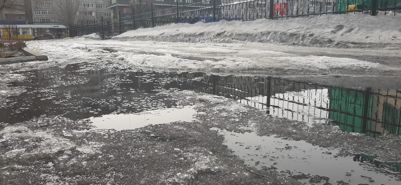 1616750213521821.jpg IMG_4044.JPG