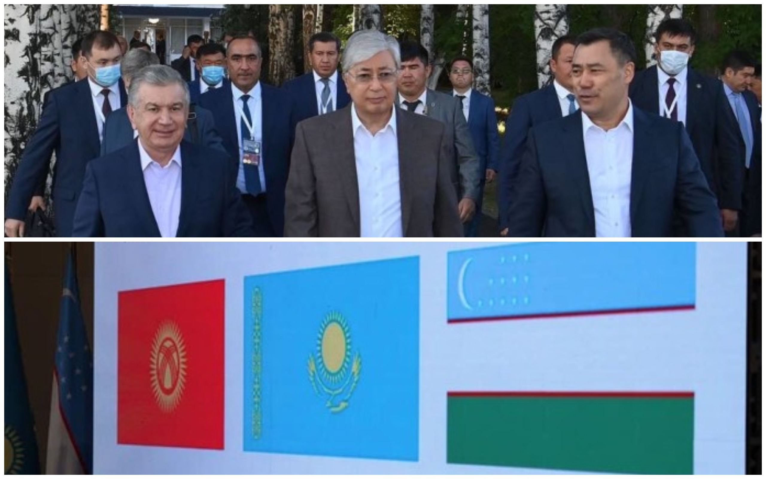 1693297043620506.jpg 1693297043620506.jpg