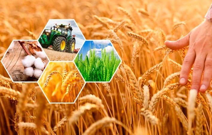 Ақ жол» фракциясының депутаттары Ауыл шаруашылығы министрлігінің жұмысын сынға алды