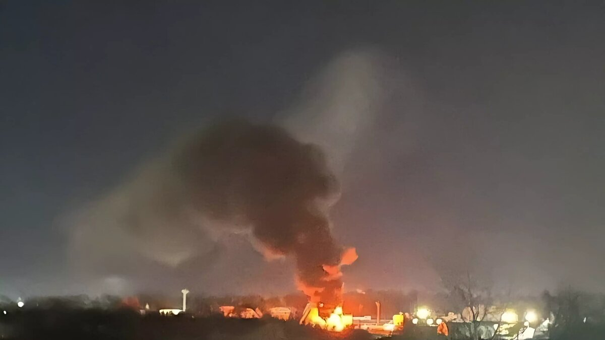 1710319183343418.jpg 1710319183343418.jpg