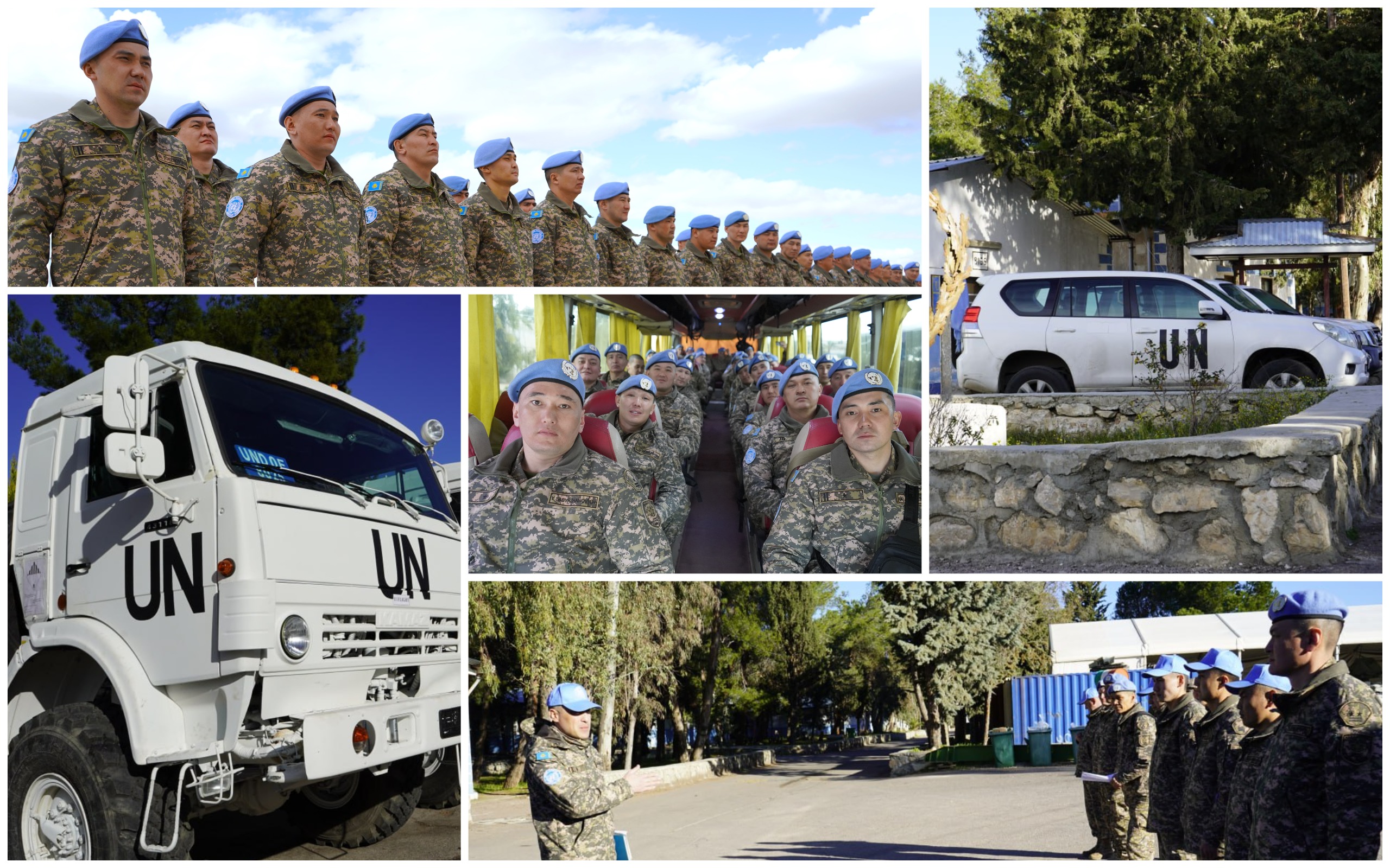 1710584658637439.jpg 1710584658637439.jpg