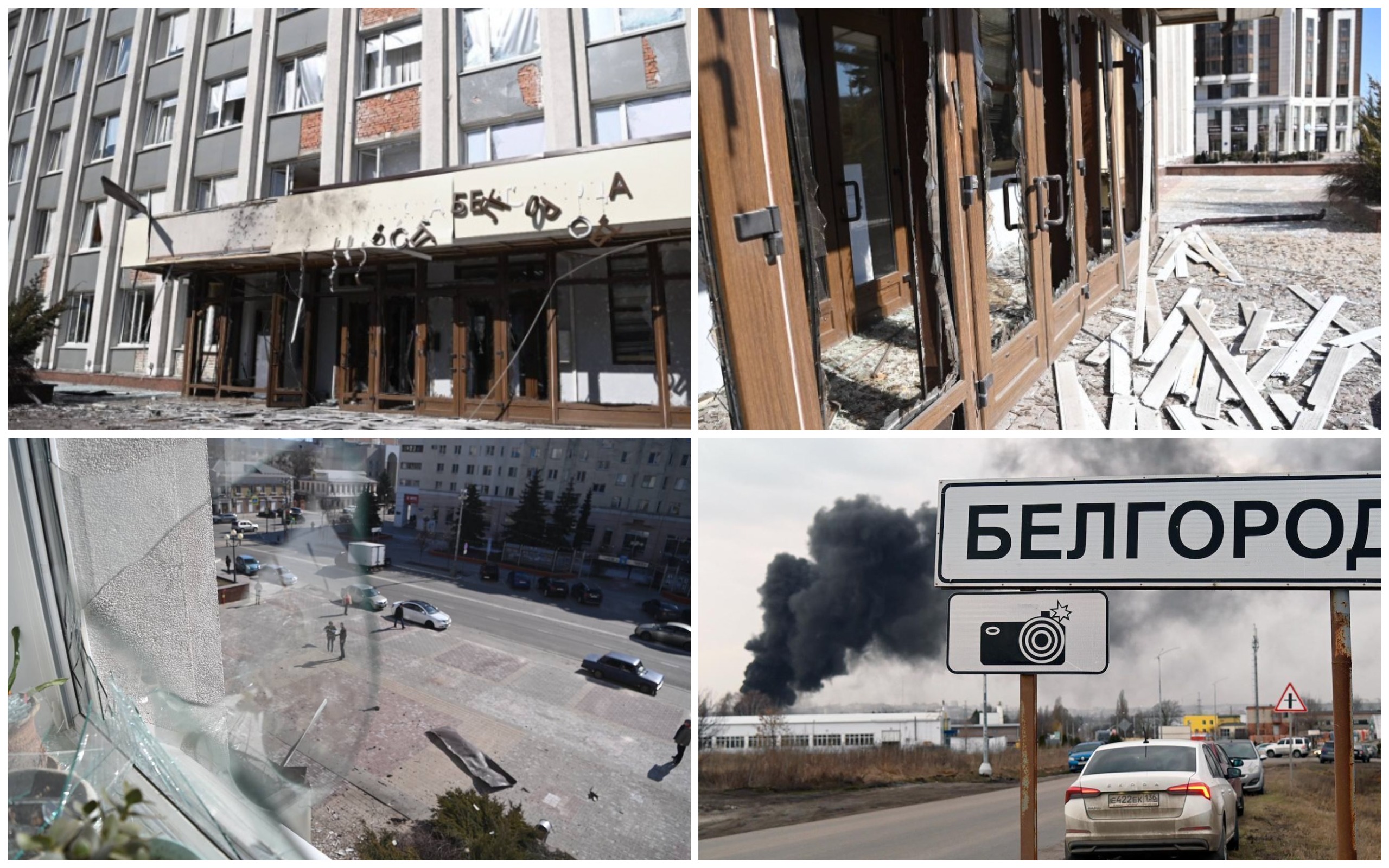 1710940257673110.jpg 1710940257673110.jpg