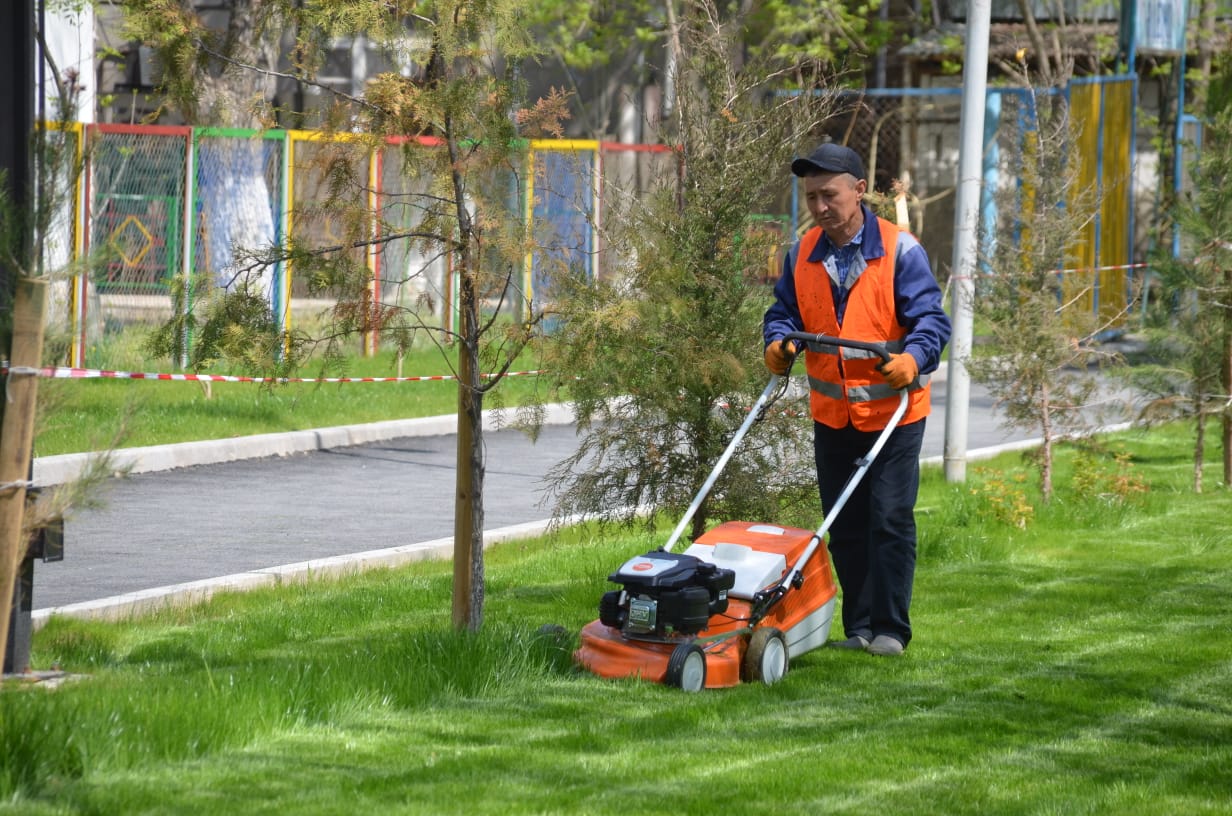 1712833745580441.jpg 1712833745580441.jpg