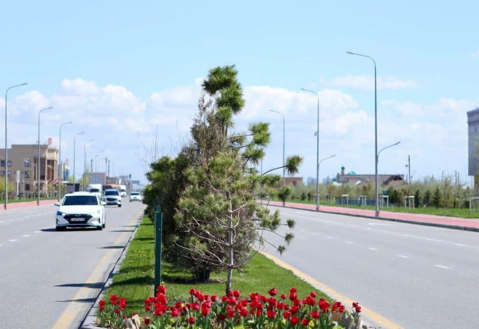 1712834184290669.jpg 1712834184290669.jpg