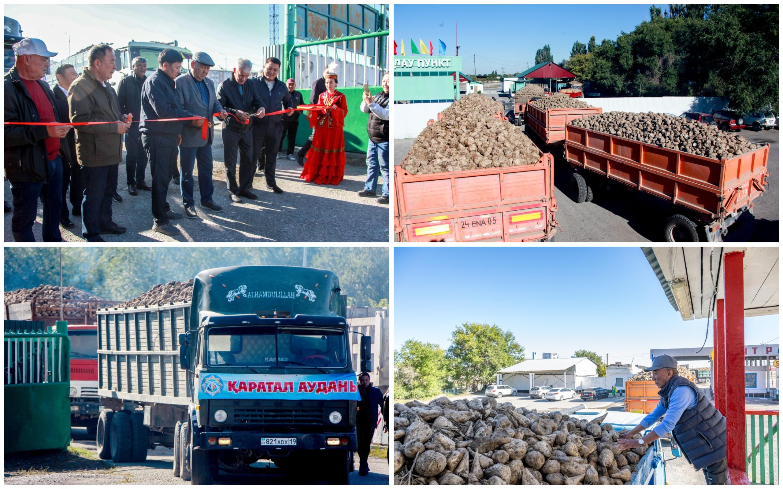 1726554218621520.jpg 1726554218621520.jpg