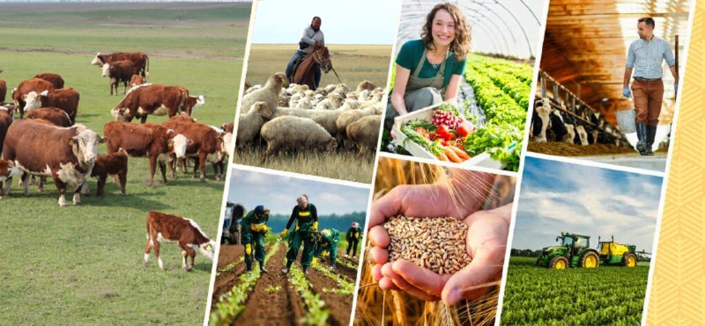 1727883304660459.jpg 1727883304660459.jpg