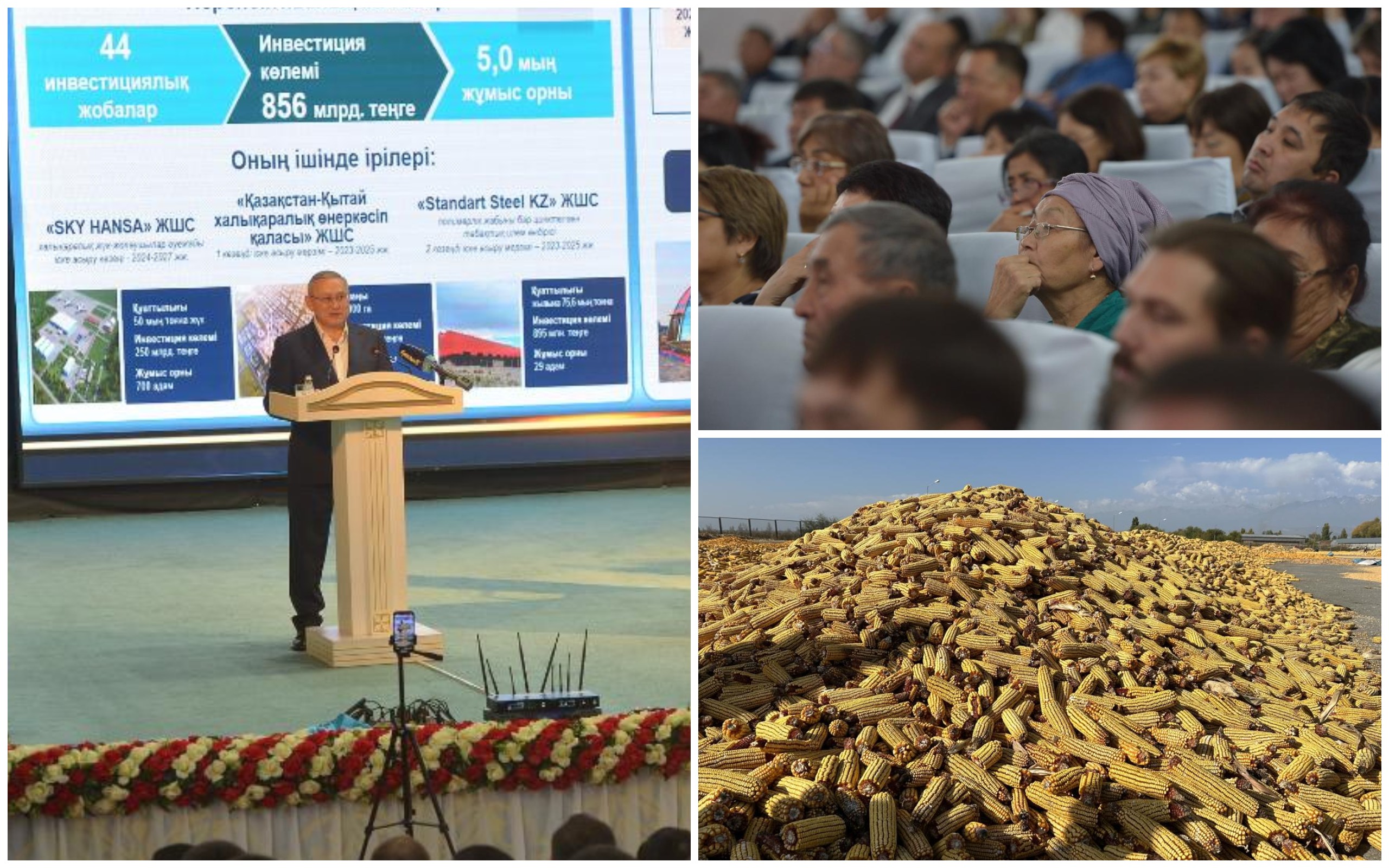 1729239578456795.jpg 1729239578456795.jpg