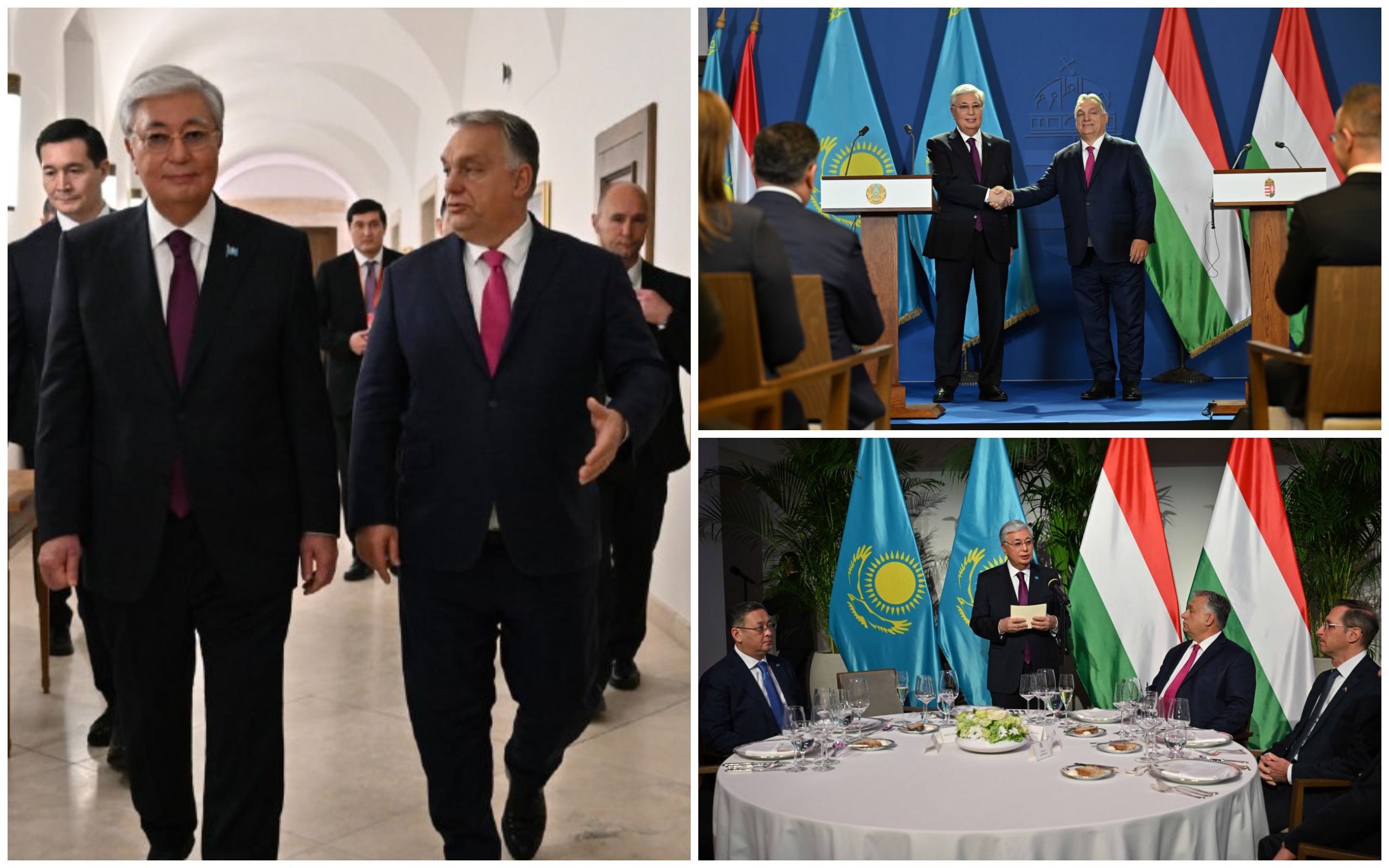 1732181922275948.jpg 1732181922275948.jpg