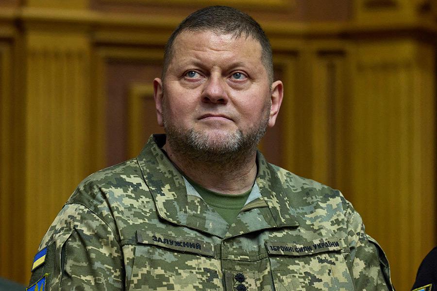 1732625549590517.jpeg 1732625549590517.jpeg