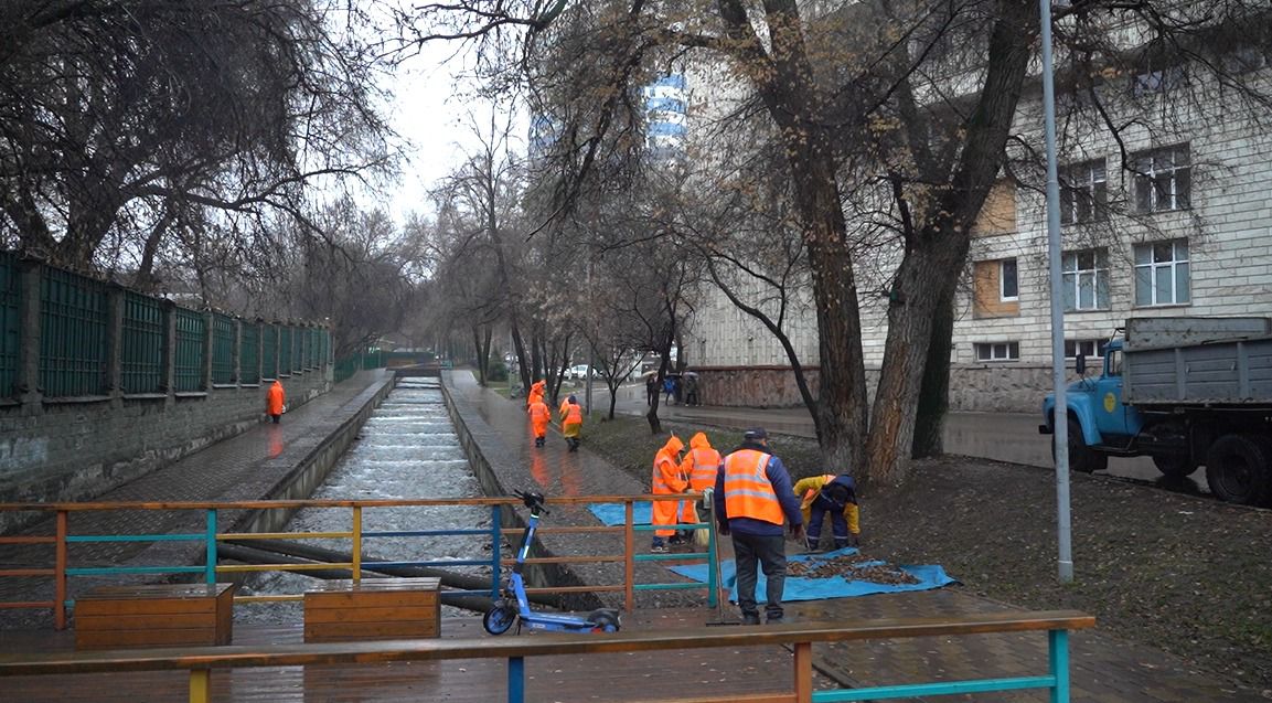 1733297966882764.jpeg WhatsApp Image 2024-12-04 at 13.32.32 (1).jpeg