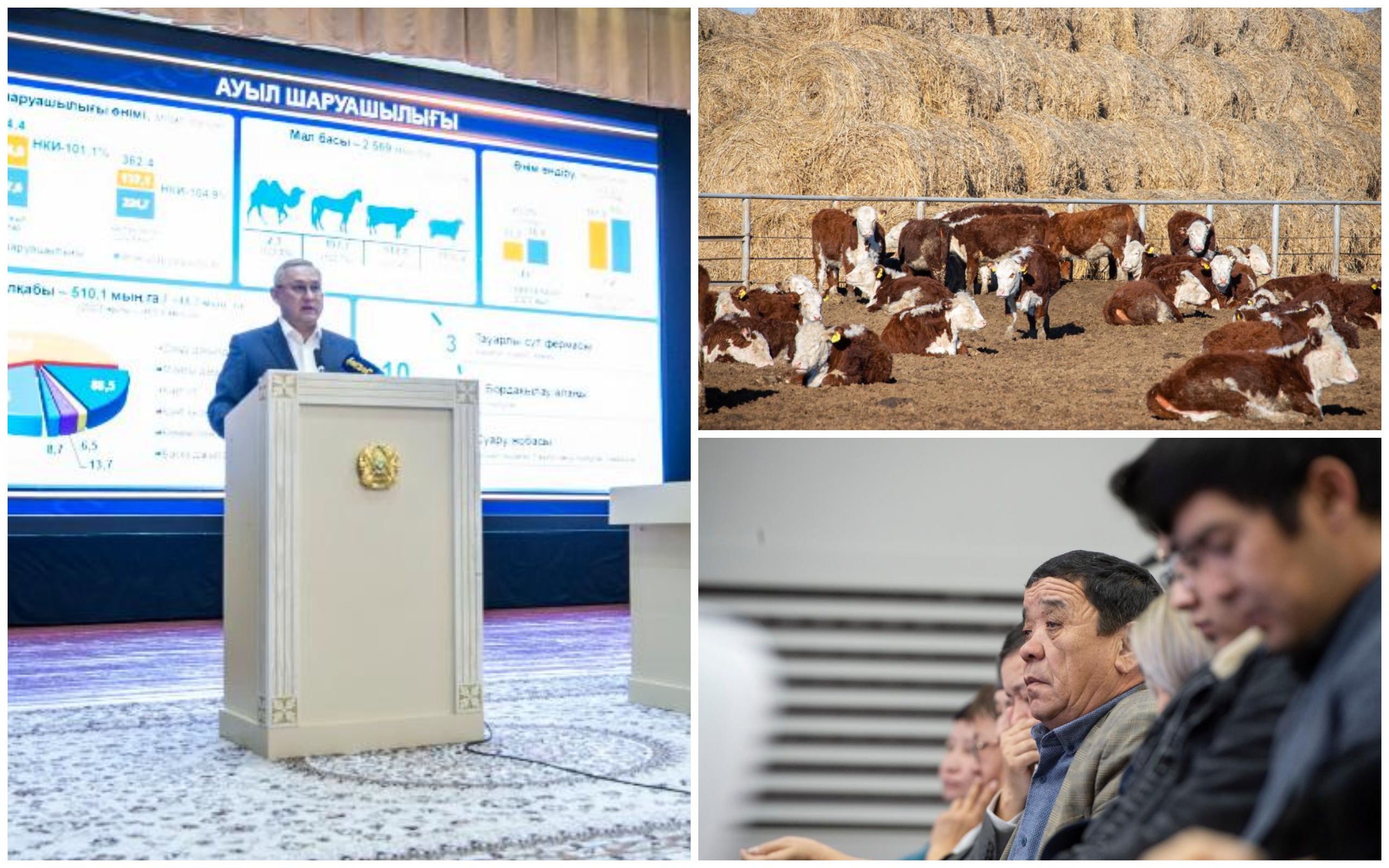 1733388436897099.jpg 1733388436897099.jpg