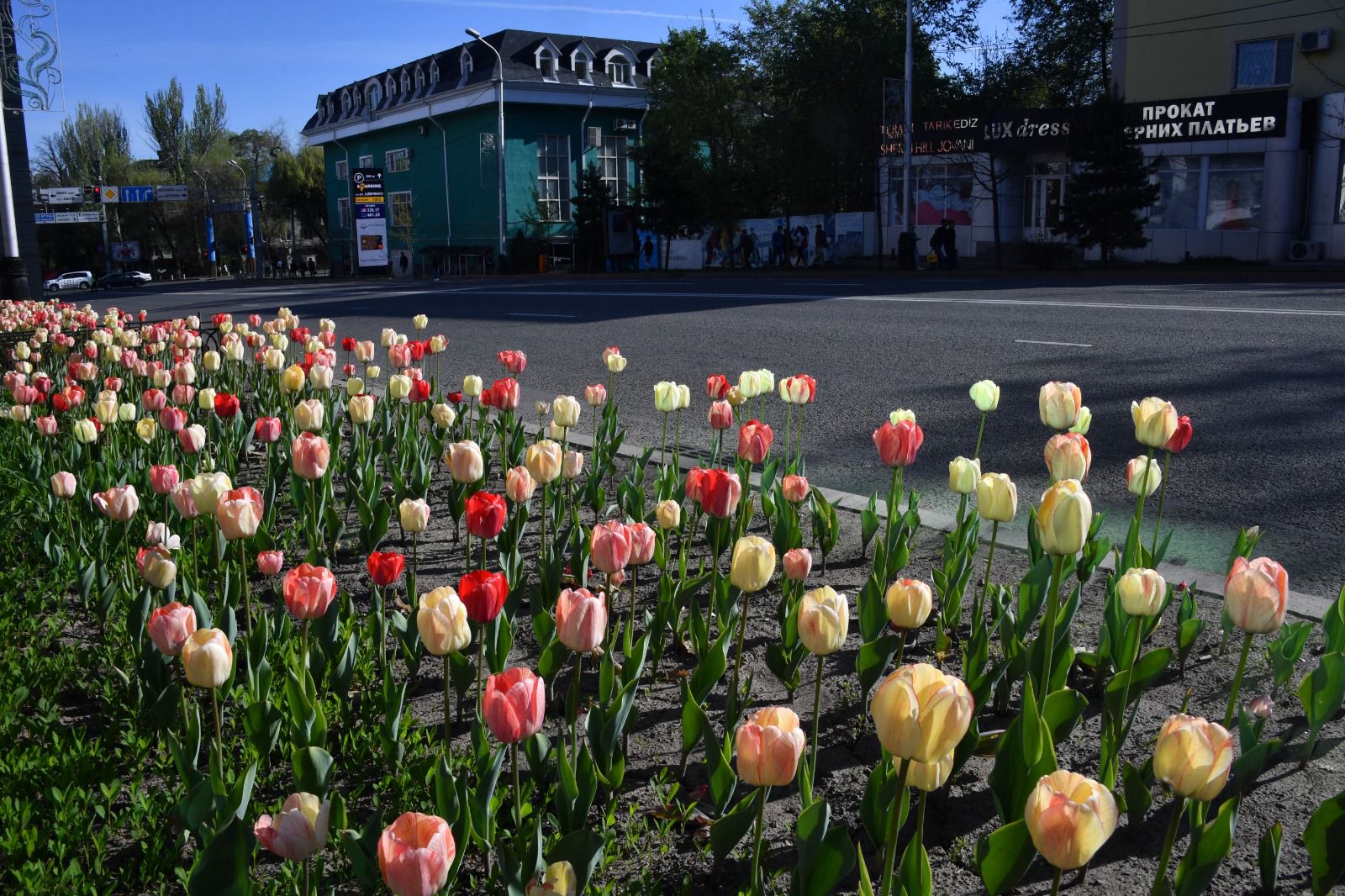 1734508696291441.jpeg WhatsApp Image 2024-12-18 at 13.55.55 (1).jpeg