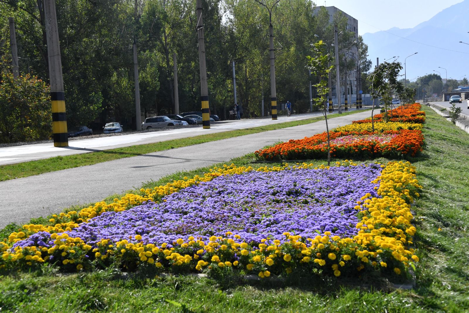 1734508718199829.jpeg WhatsApp Image 2024-12-18 at 13.55.54.jpeg