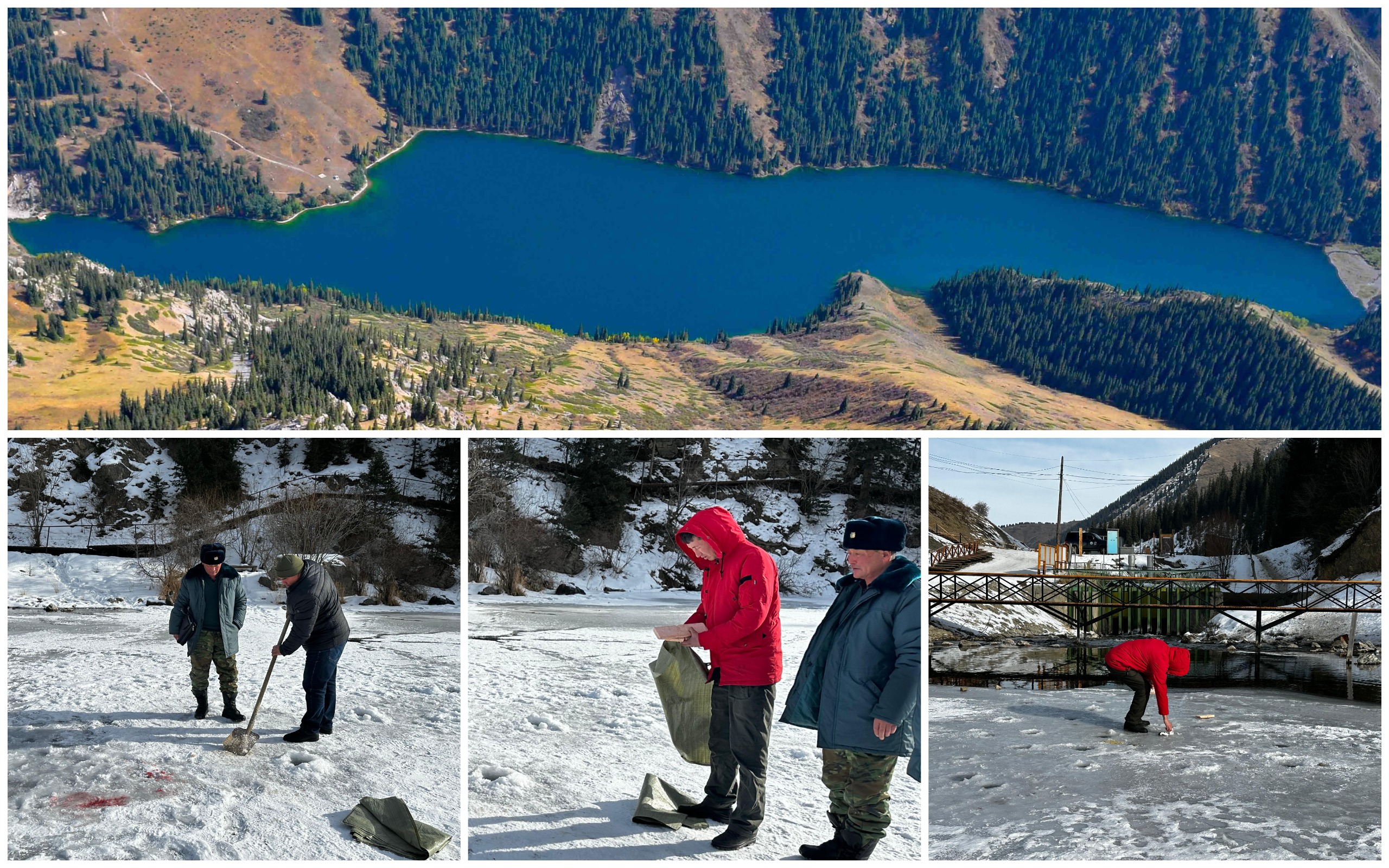 1736246533811105.jpg 1736246533811105.jpg