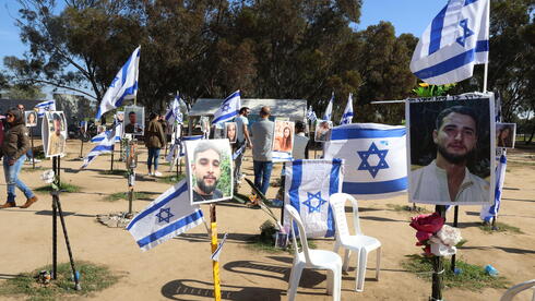 1737028483969913.jpg 1737028483969913.jpg