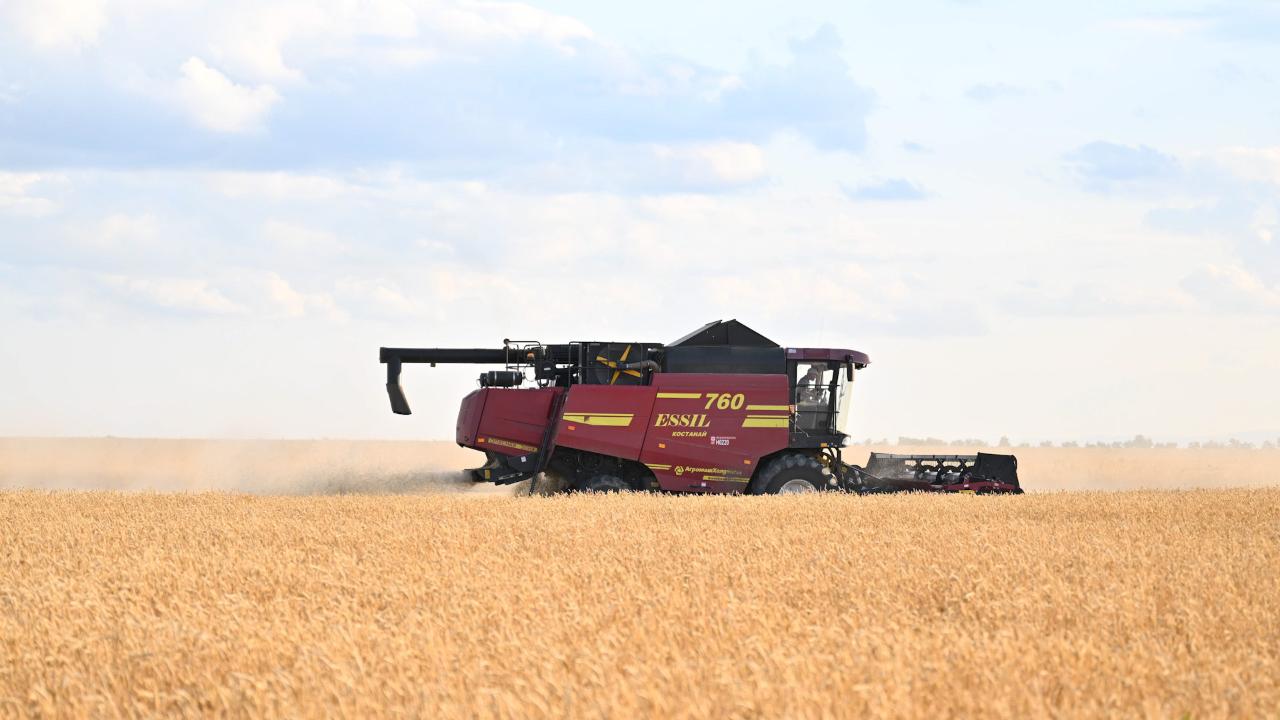 1738144402836331.jpeg 1738144402836331.jpeg